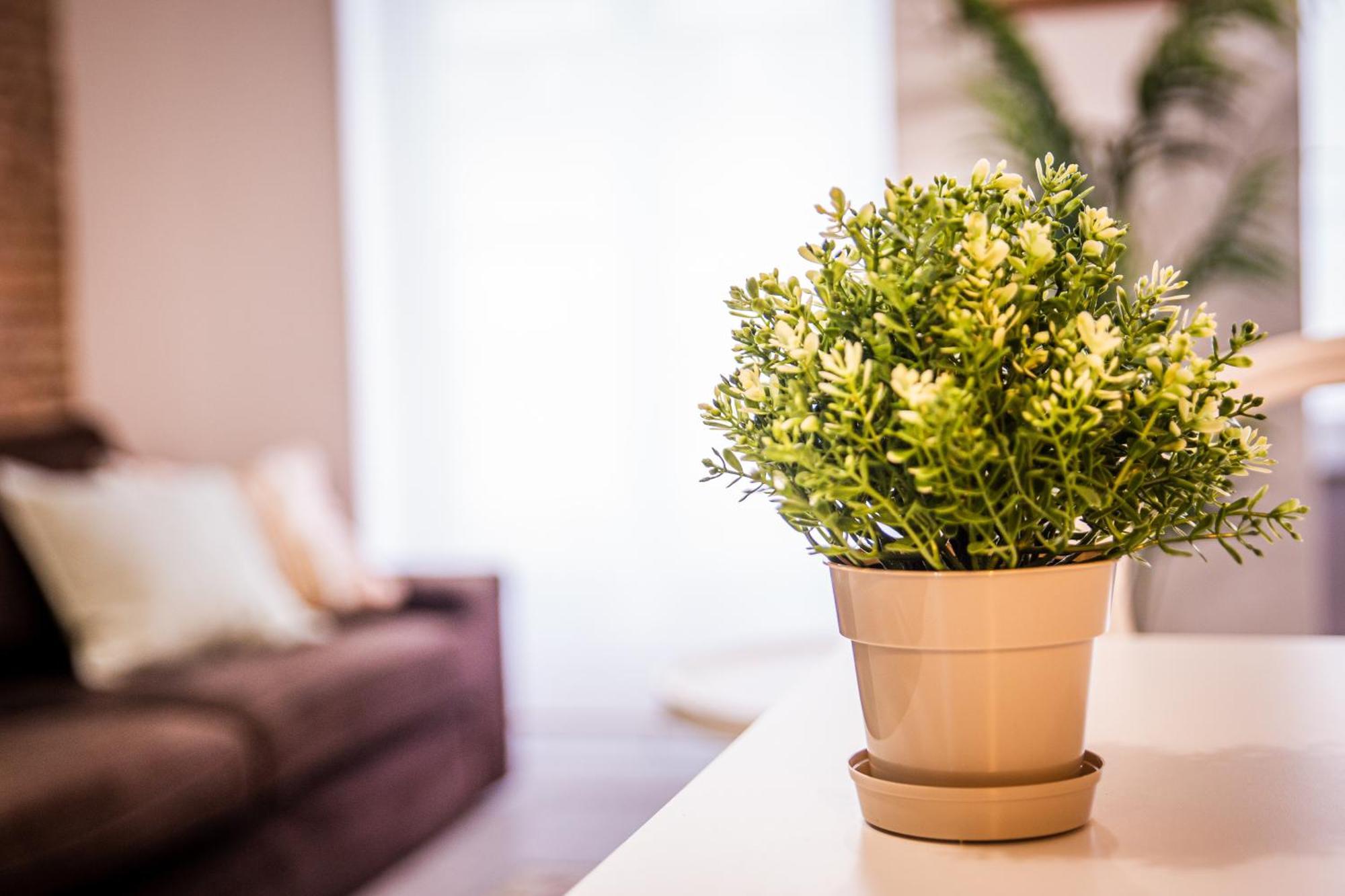 Cartagenaflats, Apartamentos San Francisco Εξωτερικό φωτογραφία